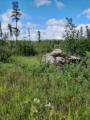 August 3, 2022 - Hunting the Dawson Trail