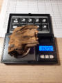 February 1, 2025 Carbon 14 Testing and Dendrochronology