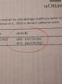 February 1, 2025 Carbon 14 Testing and Dendrochronology