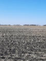April 25 & 27, 2025 - One Mile North Of Dufferin