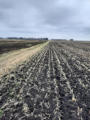 April 25 & 27, 2025 - One Mile North Of Dufferin