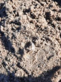October 7, 2025 - St. Malo Reservoir: Drained!