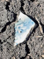 January 24, 2026 - Glass, Ceramics, and Sherds.