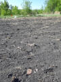 May 26, 2026 - Red River Lot 154. A Walk Through…