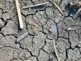 May 24, 2025 - Ground Finds