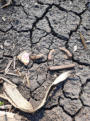 May 24, 2025 - Ground Finds