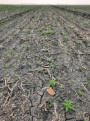 May 31, 2025 - The Ridge in Spring
